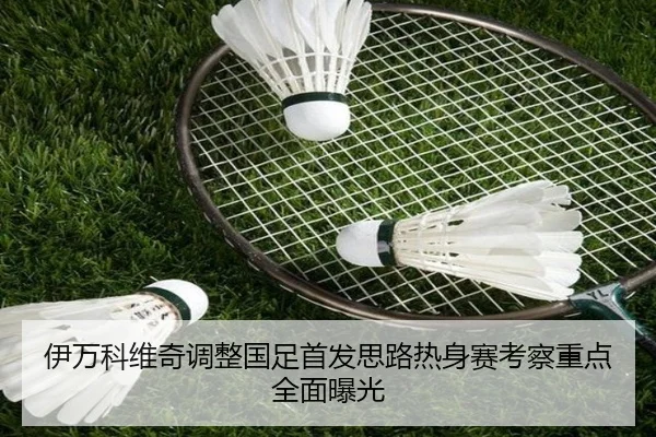 伊万科维奇调整国足首发思路热身赛考察重点全面曝光